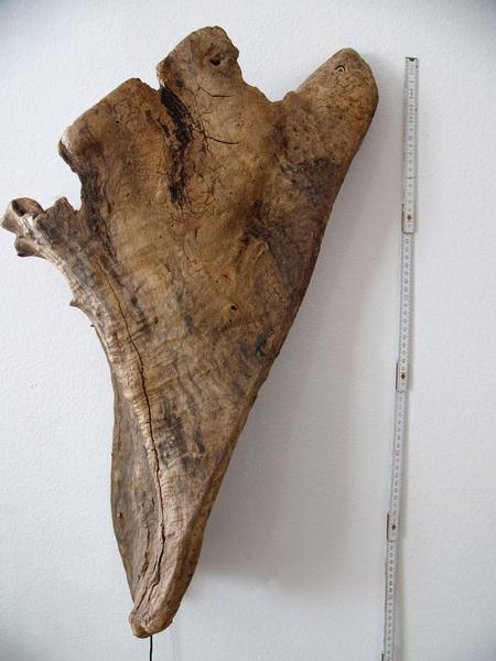 Produktbild Peka-Ideen Wandlampe Treibholzlampe