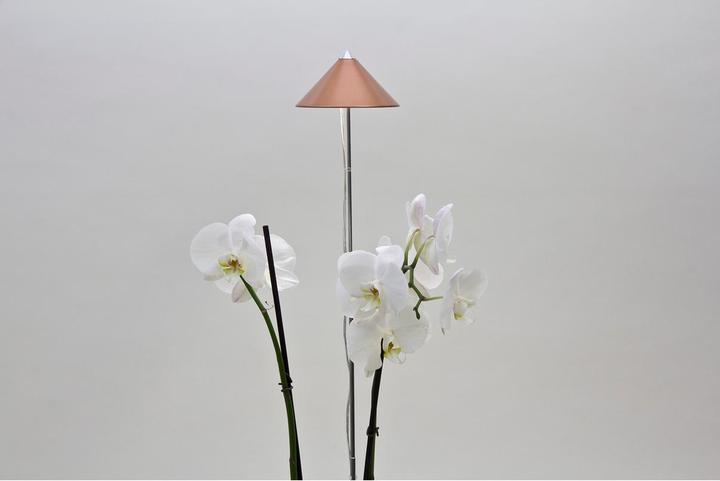 Immagine prodotto Colibri Sunlite (LED, 230 V)