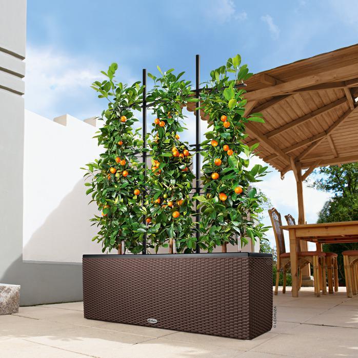 Produktbild Lechuza Blumentopf Trio Cottage 30 (100 cm)