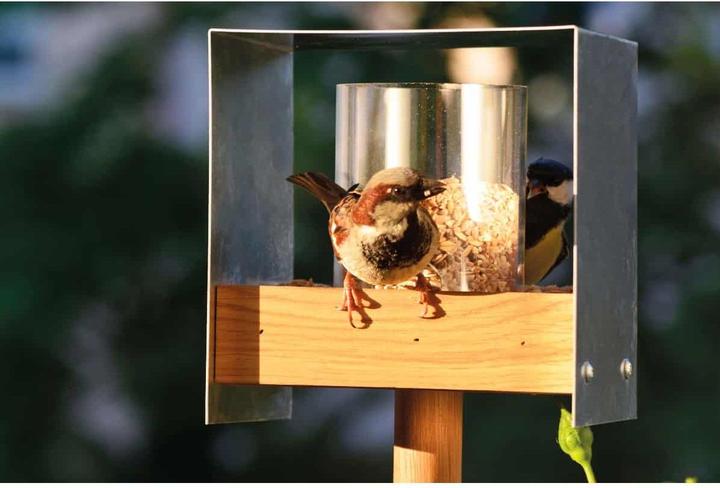 Produktbild Luxus-Vogelhaus Bauhaus II