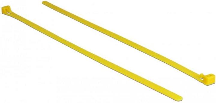 Actual product image Delock Cable tie 20cm (Plastic cable ties, 200 mm, 100 pcs.)