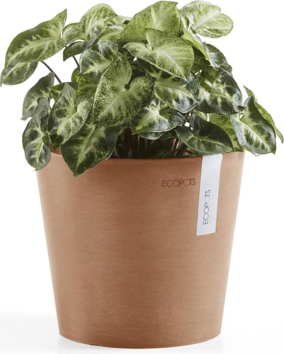 Immagine prodotto Ecopots Amsterdam Mini (17 cm)