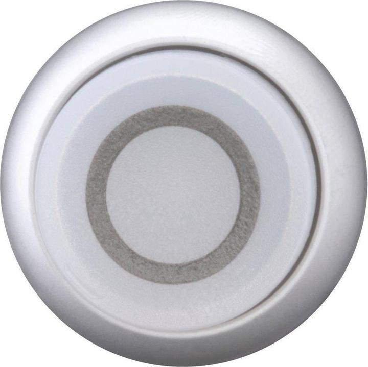 Actual product image Eaton Illuminated push-button, RMQ titanium, high, 216806