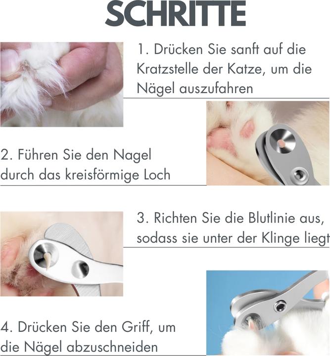 Immagine prodotto Suba Katzen Schere für Anfänger (Cane, Gatto)