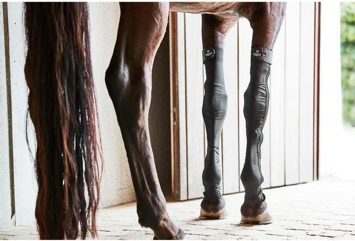 Immagine prodotto Catago FIR-Tech