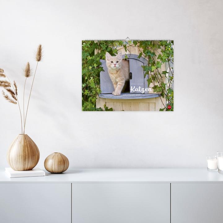Produktbild Monika Wegler: Katzenkalender 2026 (44 x 34 cm)