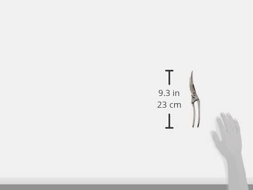 Actual product image Victorinox Poultry shears