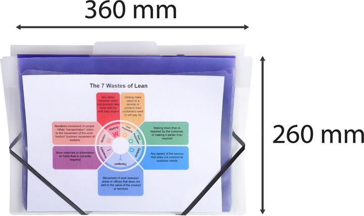 Immagine prodotto Exacompta Fächermappe zum Aufhängen (A4, 1 x)