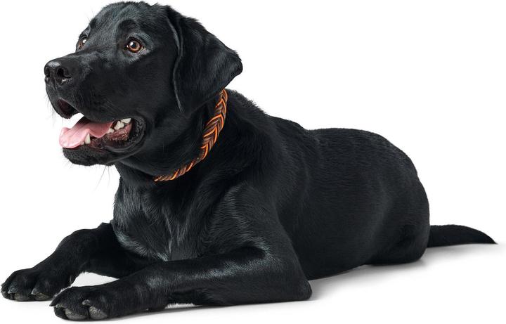 Produktbild Hunter Dogcollar Solid Education Cord M-L (60), dark brown/orange - (69319) (M, L, Hund, Allgemein)