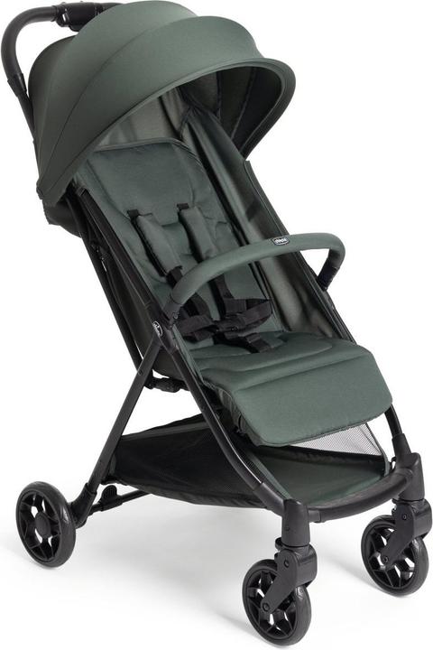 à feuilles persistantes