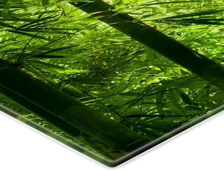 Immagine prodotto Trenddeko Il sole nella foresta di bambù (40 x 60 cm)