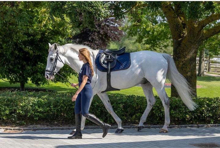 Produktbild Horse Guard Malibu