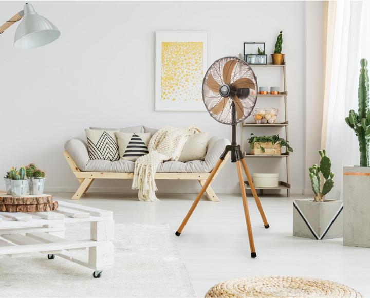 Actual product image Domo Fan