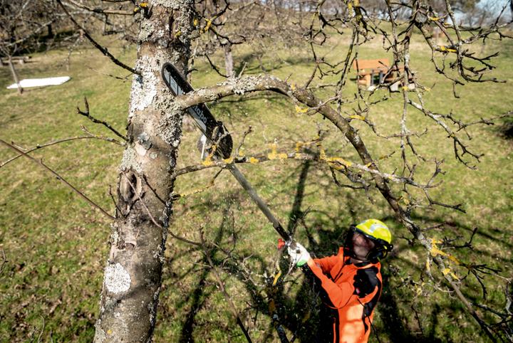 Productafbeelding Metabo MA-MS 25 (Accu kettingzaag)