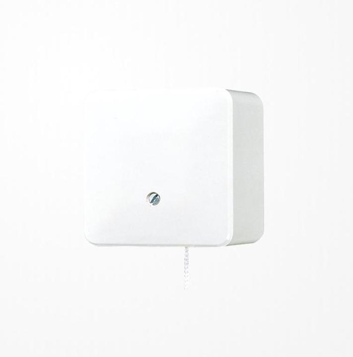 Actual product image JUNG Pull cord switch aws glz AP 600 Pull cord AP 606ZAWW