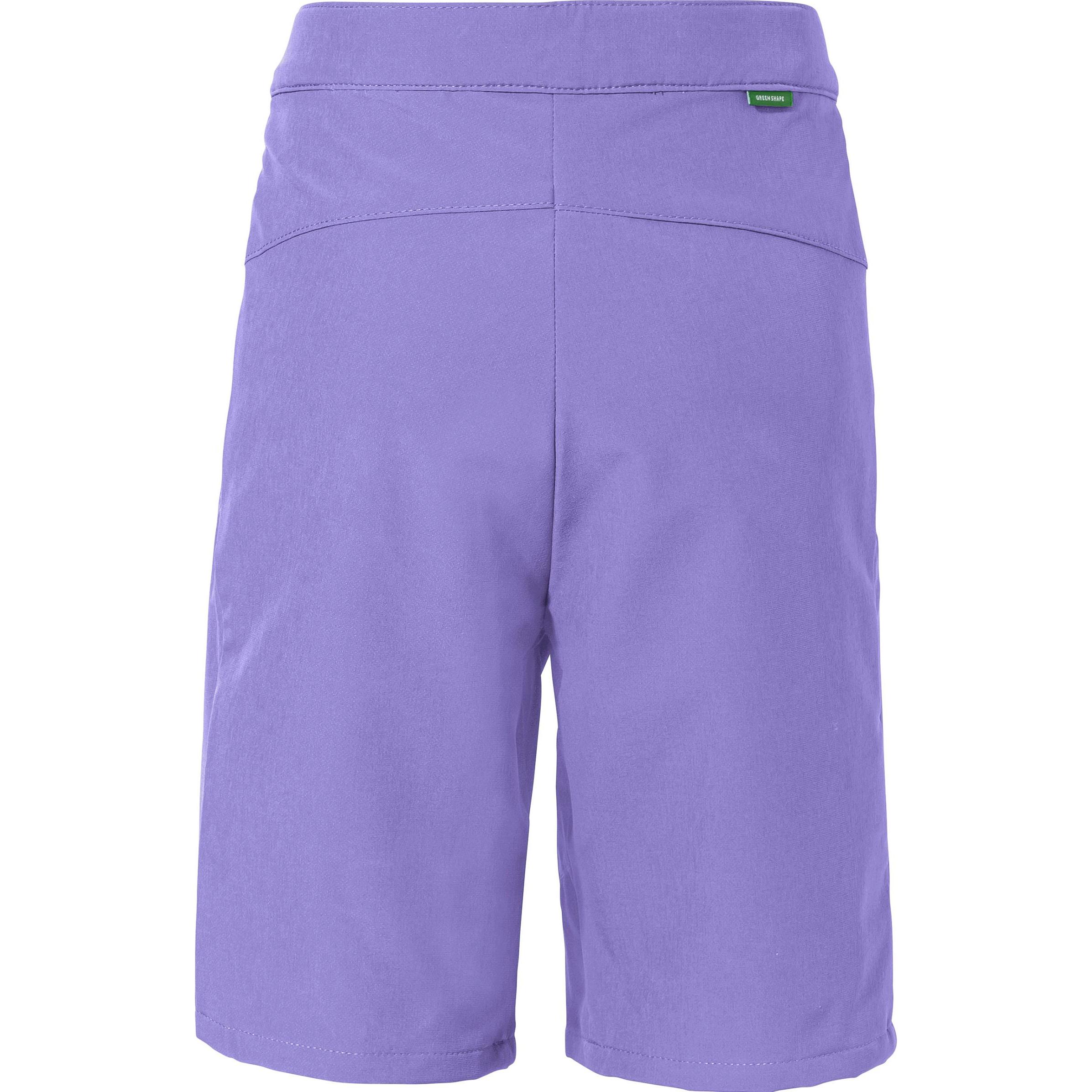 Vaude, Unisex, Outdoorhose, Badile II (158, 164), Violett, 158, 164
