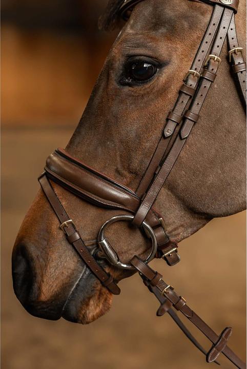 Actual product image HFI Master Edges