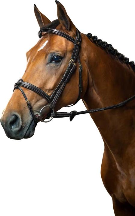 Produktbild Dy'on Trense