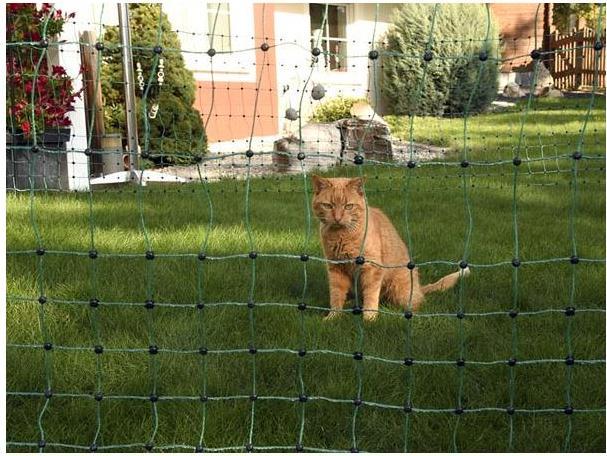 Produktbild Kerbl Katzennetz (Manuelle Katzenklappe)