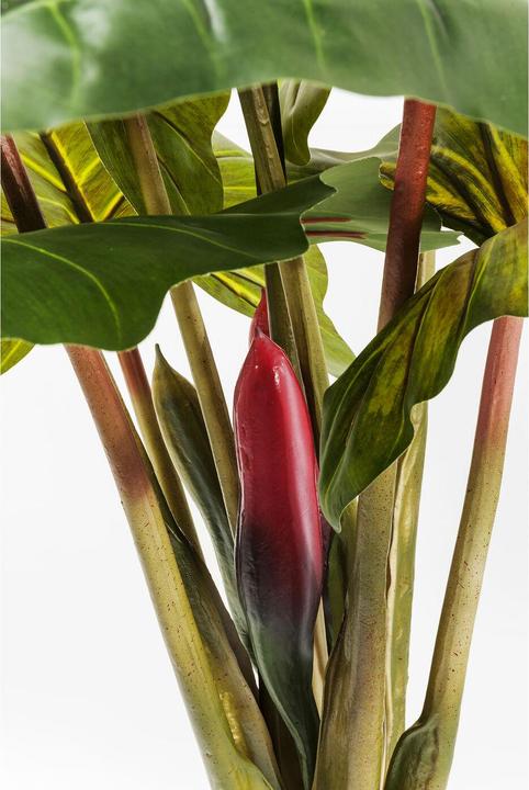 Produktbild Kare Design Rainforest (160 cm)