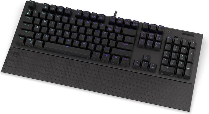 Actual product image Endorfy Omnis keyboard USB QWERTY Black (US, Cable)