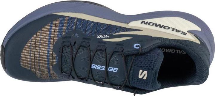 Actual product image Salomon Genesis (40 2/3)