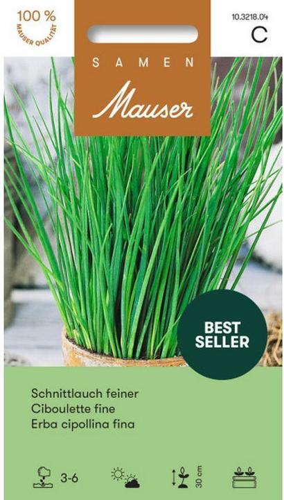 Image du produit Samen Mauser Ciboulette (Graines d'herbes aromatiques)