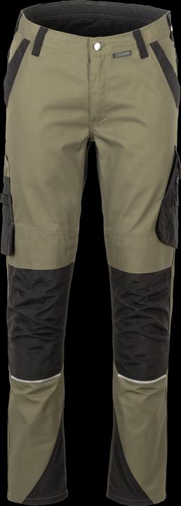 olive, Black