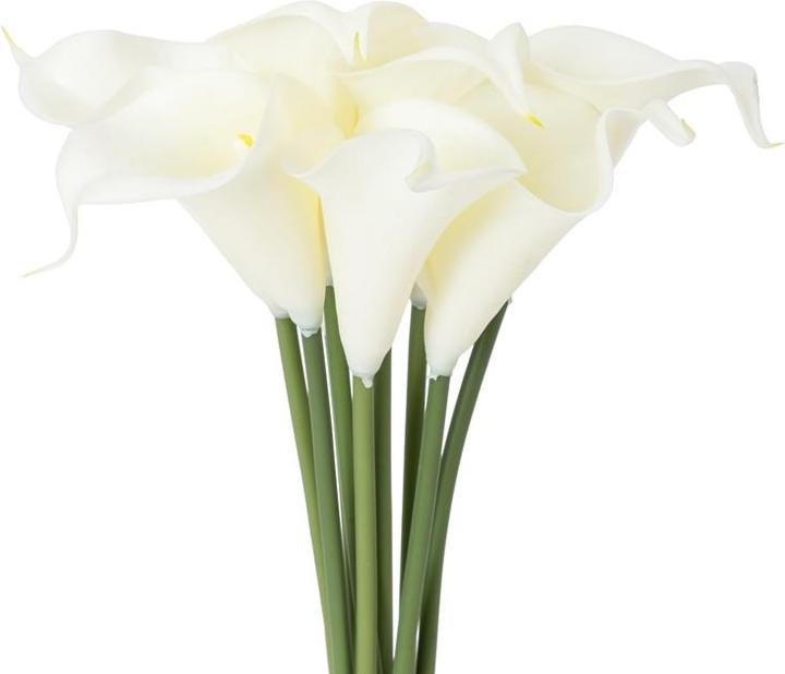 Domoletti Artificial flower, calla lily, cream, 32 cm (32 cm)