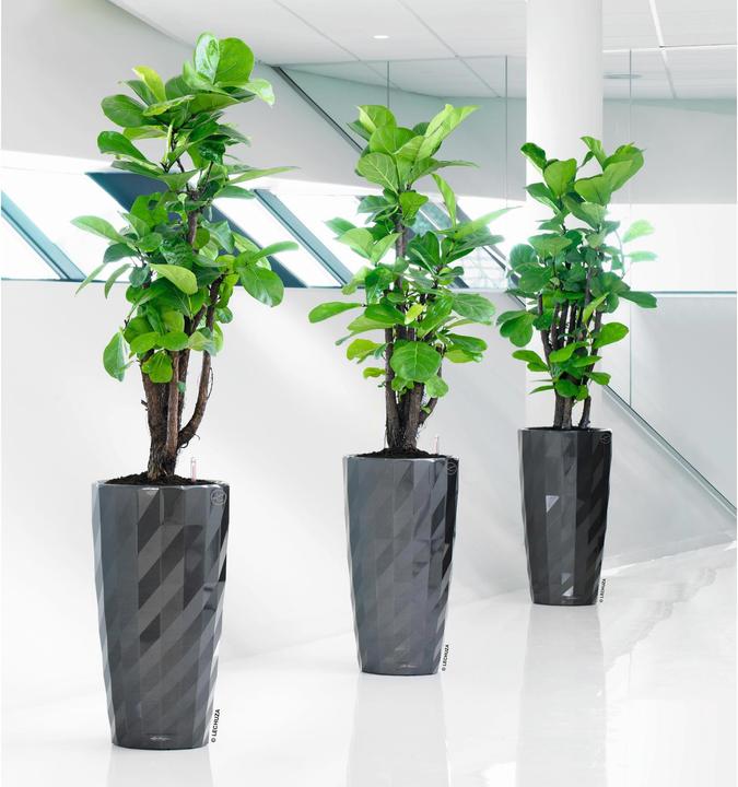 Actual product image Lechuza DIAMANTE Premium metallic (40 cm)