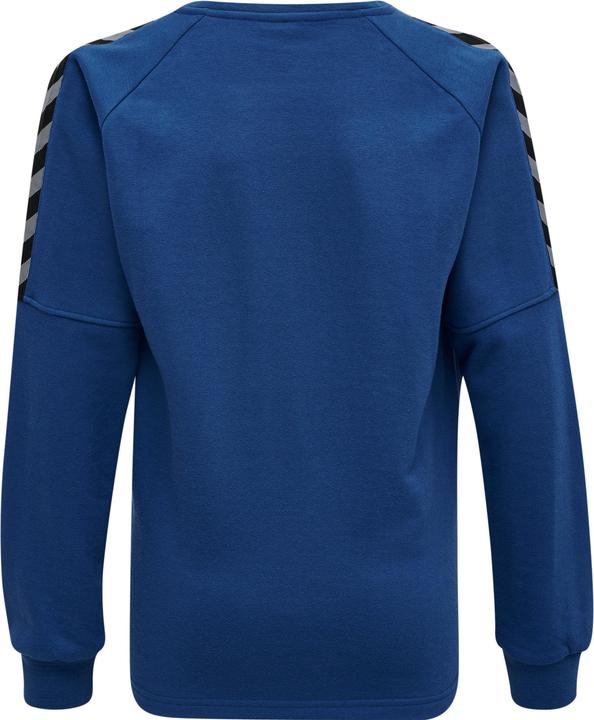 Image du produit hummel Authentique Sweat D'Entraînement Pour Enfants (116)
