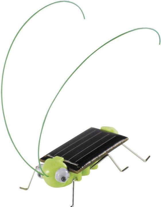 Actual product image Sol Expert Solar Cricket