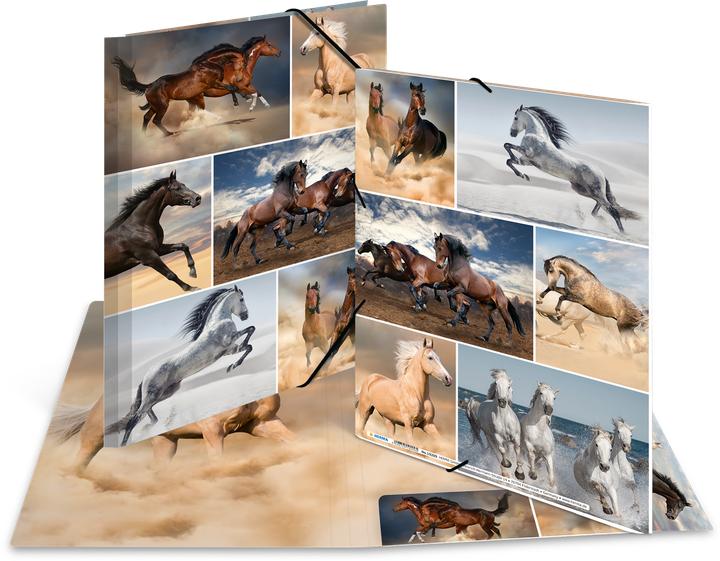 Image du produit HERMA Porte-documents A4 Motif (A4, 1 x)