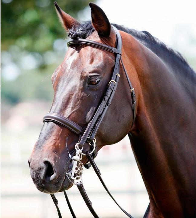 Immagine prodotto Tattini Briglie Snaffle