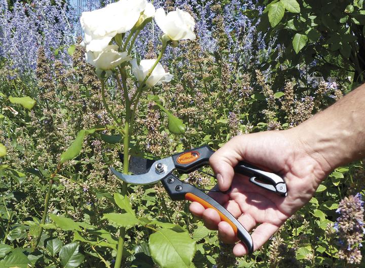 Produktbild Garten Primus Herren-Gartenschere