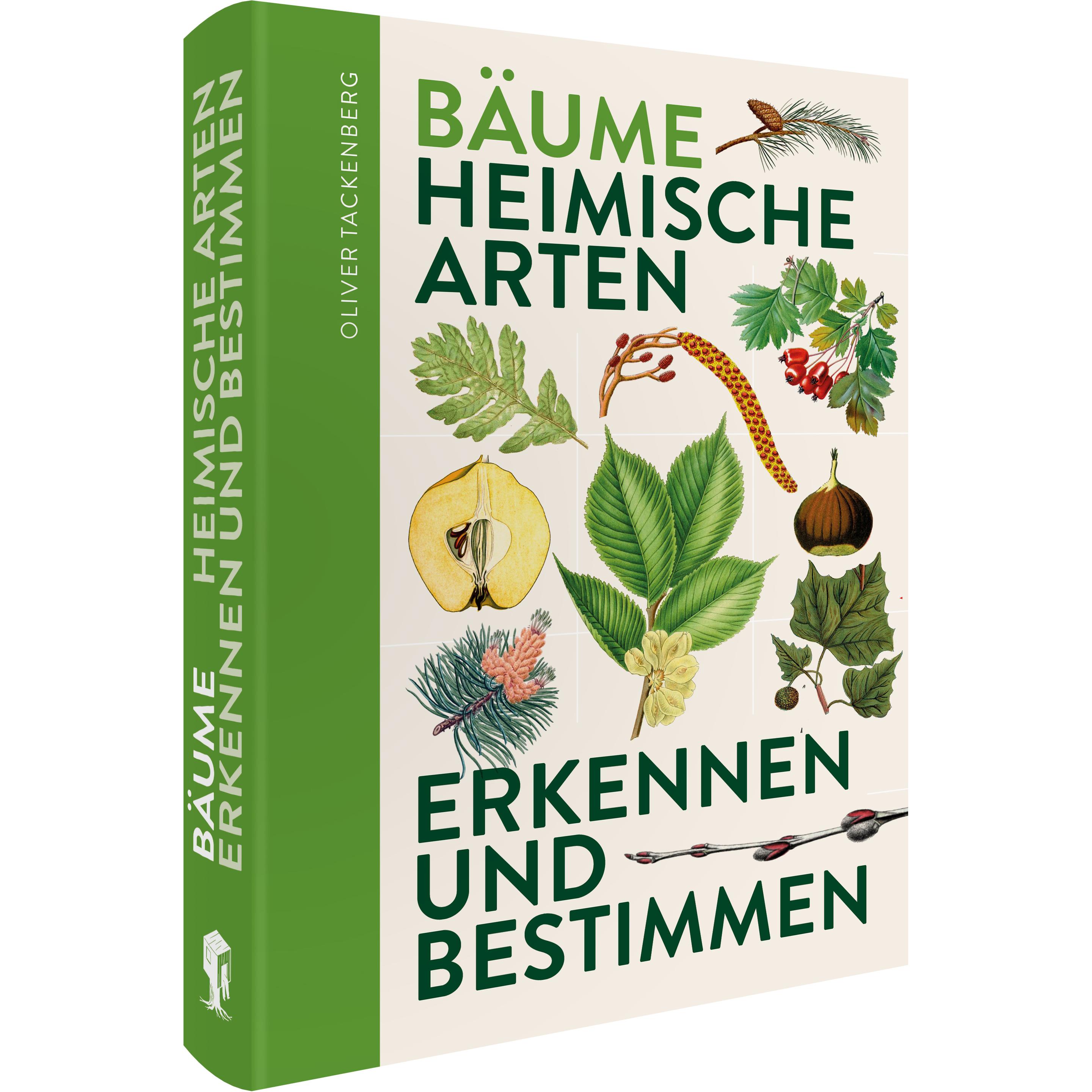 Bäume, Sachbücher von Oliver Tackenberg