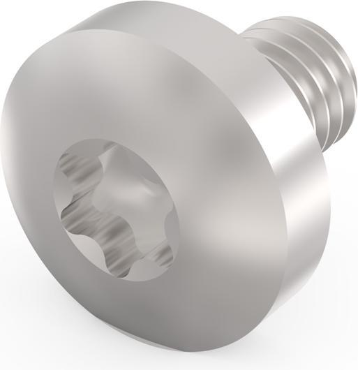 Actual product image Schroff Torx pan head screw - LIKOSHR M4X6 PENTORX (100pcs)