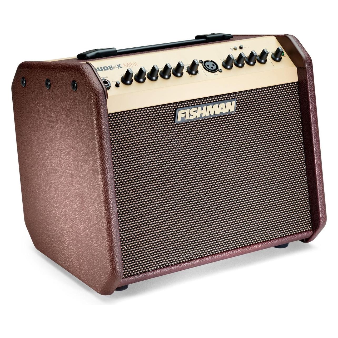 Fishman Pro-Lbt-500 Loudbox Mini Bluetooth Akoestische Gitaarversterker (60 W), Instrumentenverstärker, Braun