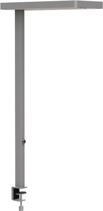 Maul Tischleuchte LED juvis sensor dimmbar