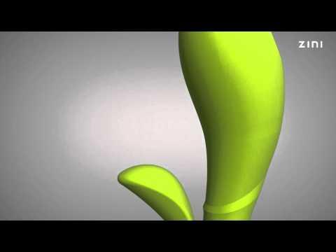 Actual product image Zini Hua