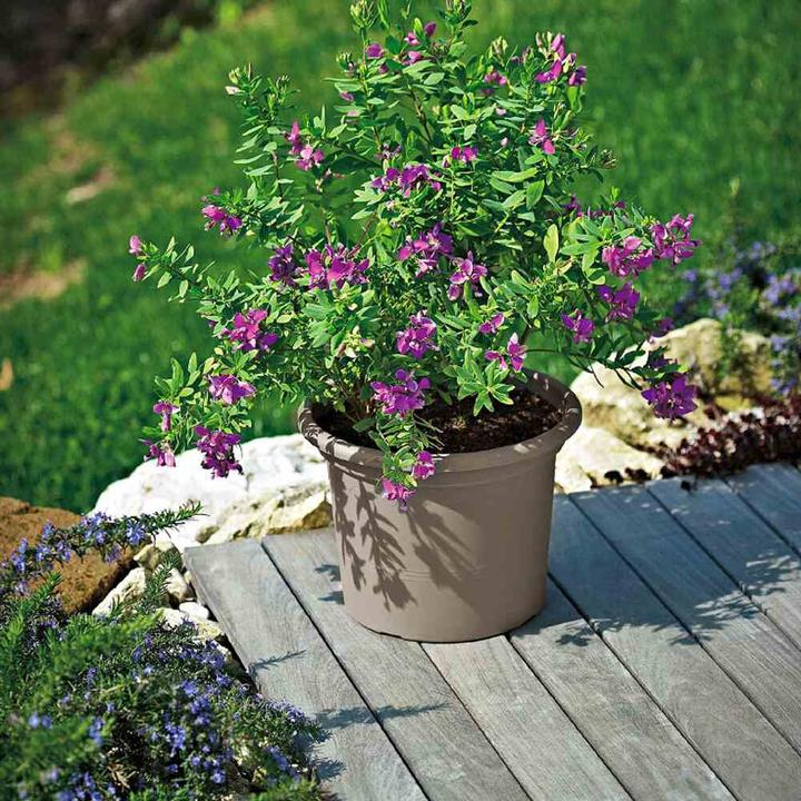 Produktbild Euro3plast Pflanzkübel (25 cm)