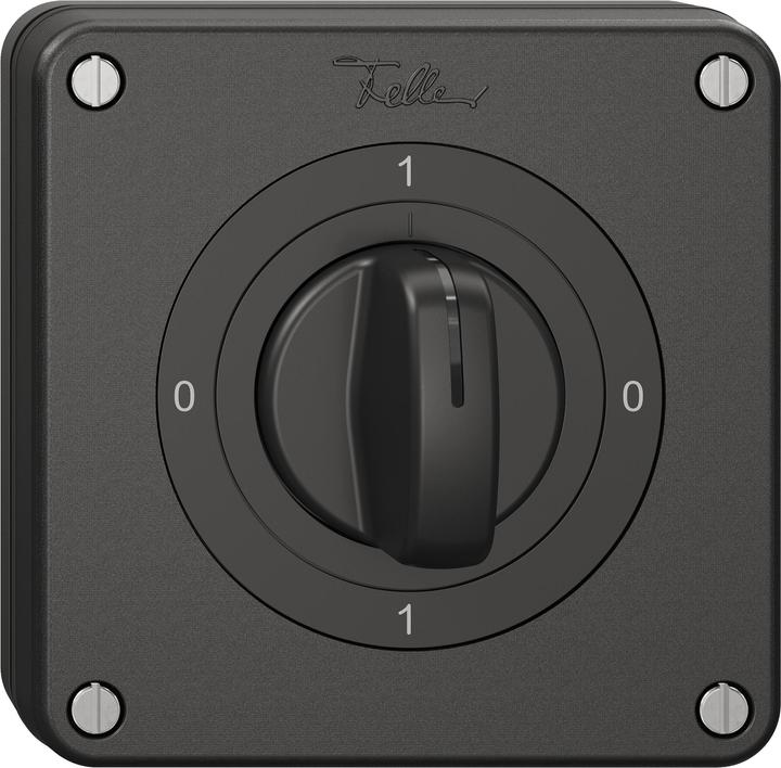 Actual product image Feller Circuit breaker 2-pole black