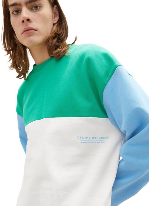 Actual product image Tom Tailor Sweatshirt Pullover ohne Kapuze mit Color-Block (S)