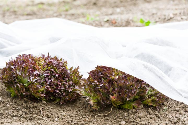 Immagine prodotto Windhager Vello da giardino