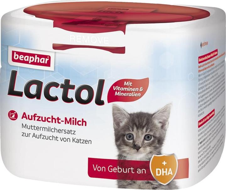 Cat food