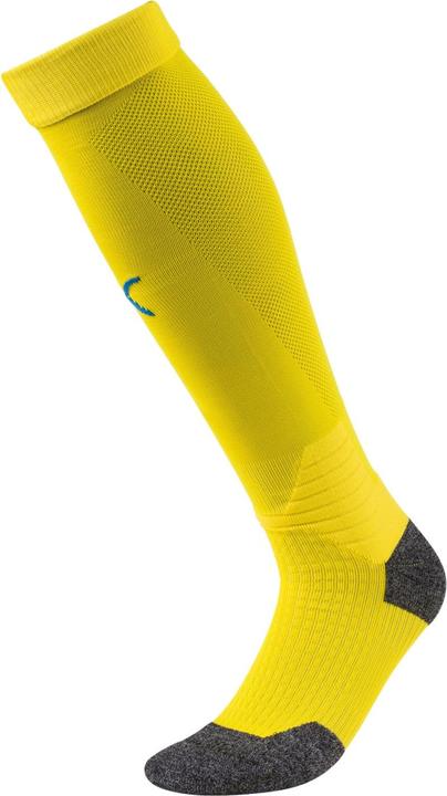 Actual product image Puma Team LIGA Socks-703438 (47 - 49)
