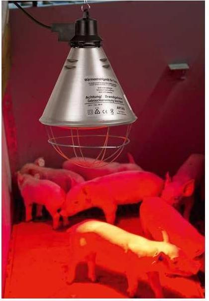 Produktbild Kerbl Wärmestrahler mit Sparschalter