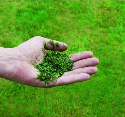 Produktbild Einhell GC-PM 51/3 S HW-E (Benzinbetrieb)