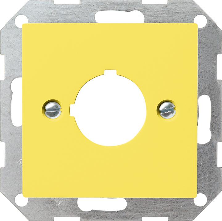 Actual product image Gira Central insert