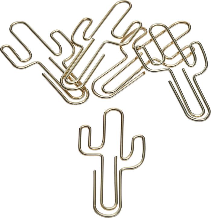 Produktbild micasa Cactus (5x)